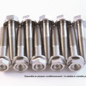 Kit vis titane SCAR M6x12 par 2