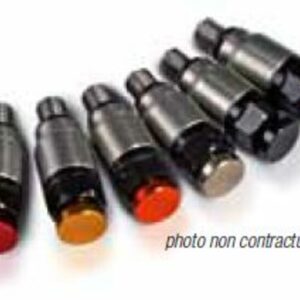VALVE DECHARGE PRESSION EN INOX POUR KAYABA/SHOWA M5X0.8