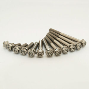 Kit vis titane SCAR M6x25 par 2